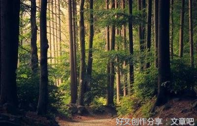 2017.12.10经典的句子