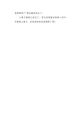 关于可爱的鸽子的作文