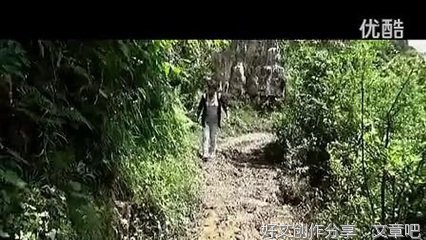 如果我会飞作文大全