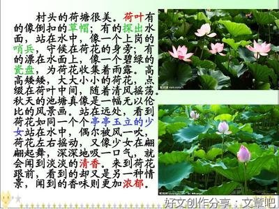 家乡的池塘作文500字