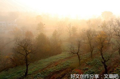 寻秋作文