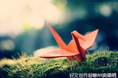 关于愿望的优秀的作文700字