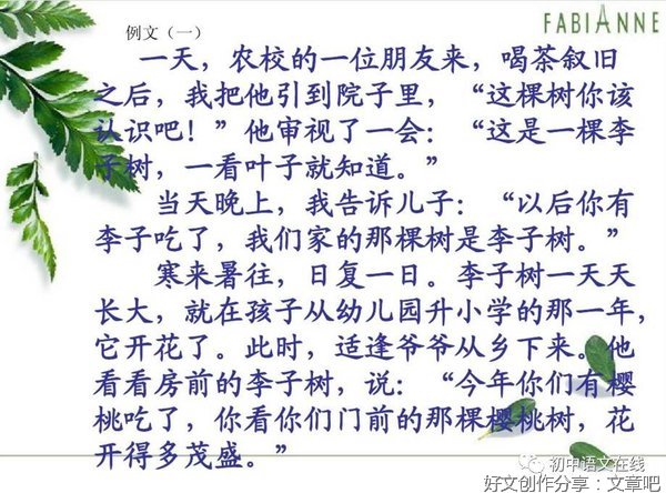 关于以小见大的作文200