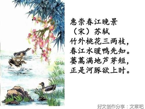 《燃烧未尽的晚景》读后感精选