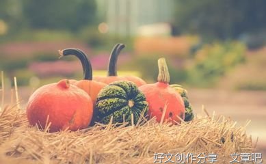 有关太宰治的句子