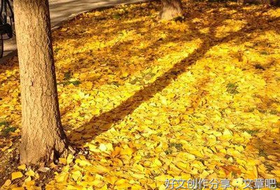 有关伤感句集的句子