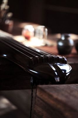 《广陵散》读后感锦集
