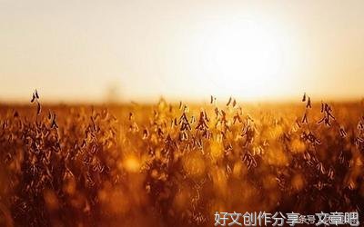 幸福无处不在作文大全