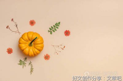 彩色的秋天作文大全