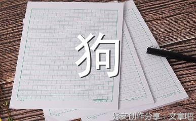 我喜爱的小狗经典作文