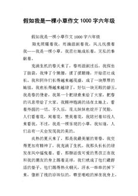 有关我是一株小草的作文