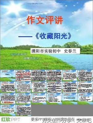 我的收藏作文800字