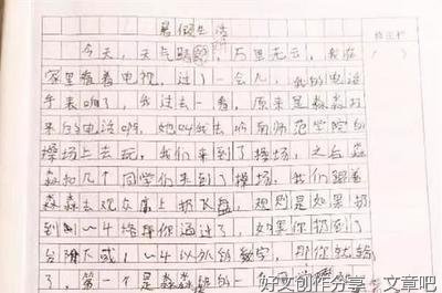 多彩暑假生活作文450字