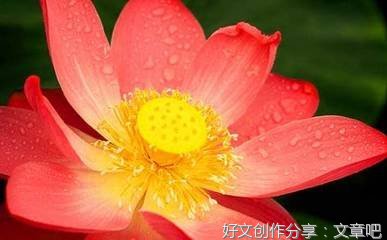 400字作文我真的很棒800字