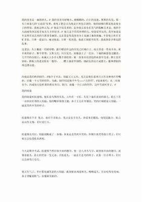 描写人外貌的作文200字