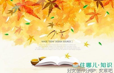 史铁生优美的句子