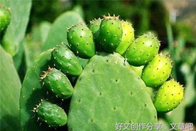 我的知心朋友作文10篇