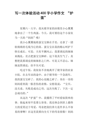 关于护蛋记的作文