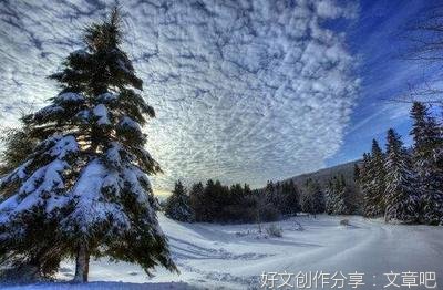 有趣的冬天作文500字