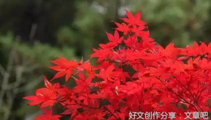 未来的眼镜作文(精选10篇)
