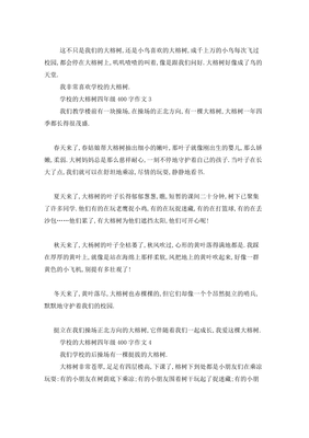有关校园里的大榕树的作文