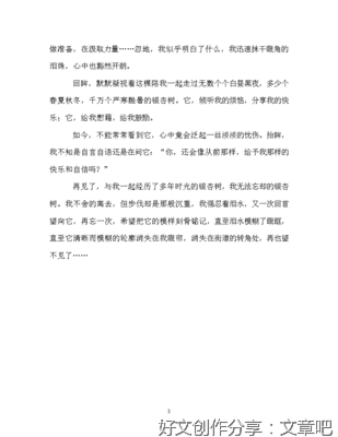 校园里的银杏树经典作文