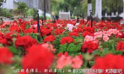《梦开始的地方》的作文