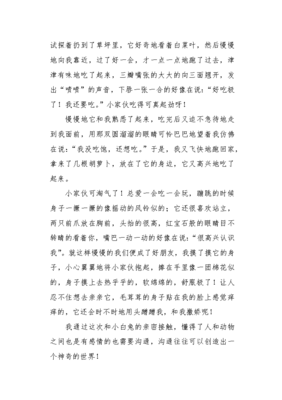 关于动物小白兔的作文300字(精选10篇)