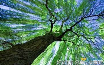 以求知为话题100作文