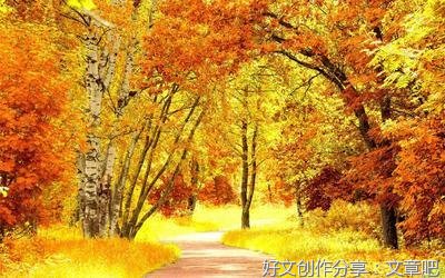 描写雨后的美景作文600字10篇