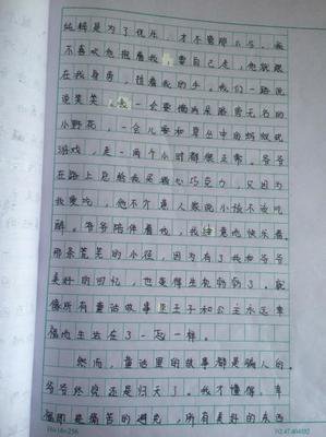 我最喜欢的照片作文400(通用10篇)
