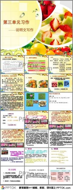 五年级第三单元作文关于小动物的500字