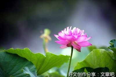 关于留给时光的句子
