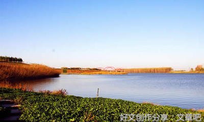 热闹的公园作文(精选10篇)