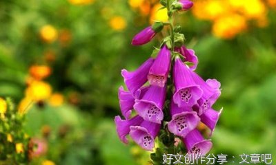 生病的滋味经典作文