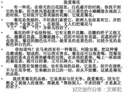 看菊花通用作文