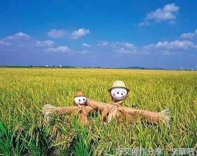有关稻草人续写的作文