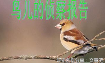 续写《树和喜鹊》作文大全