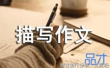 围绕心里描写写一篇800字作文(通用10篇)
