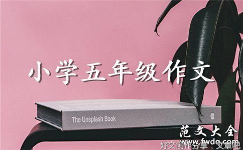 我向往的暑假生活的450作文