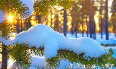 关于中国文化历史悠久的作文300字