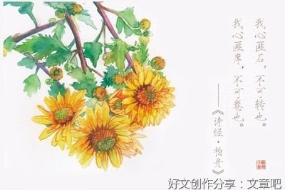 关于云胡不喜的句子