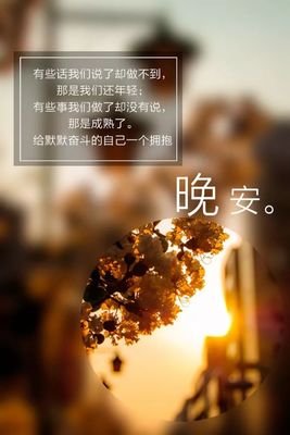 关于句集的优美句子