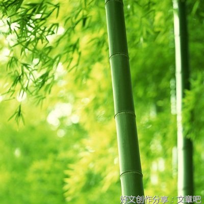 飘的优美句子