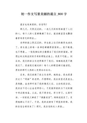 有关美丽的谎言的作文