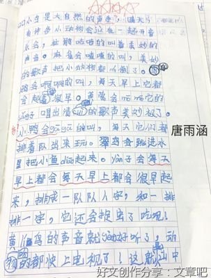 美妙的声音经典作文