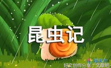 读《昆虫记》有感读后感