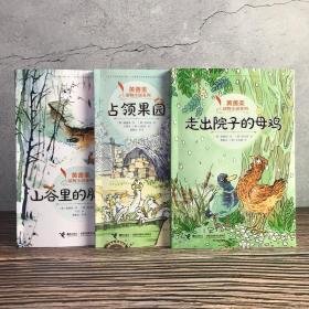 走出院子的母鸡读后感