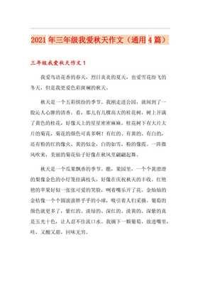 迷人的四季通用作文