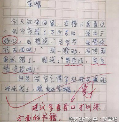 广州小学生关于二胎的作文10篇